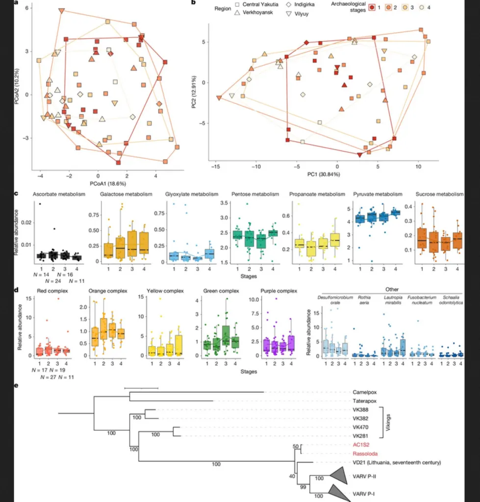 Composición y función de los microbiomas orales y filogenia de la viruela