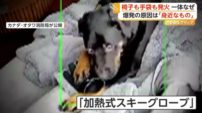 犬が噛んでいたのは「加熱式スキーグローブ」（Ottawa Fire Services）