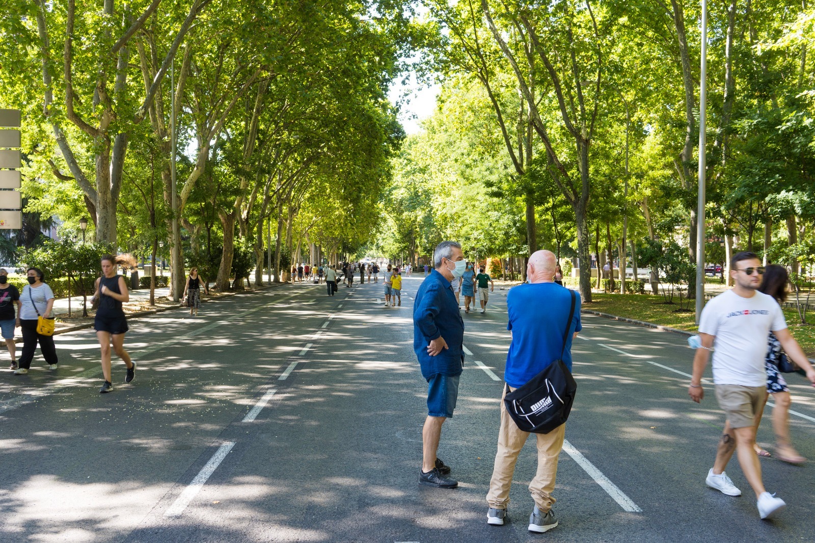 Peatonalizaci�n del Paseo del Prado.