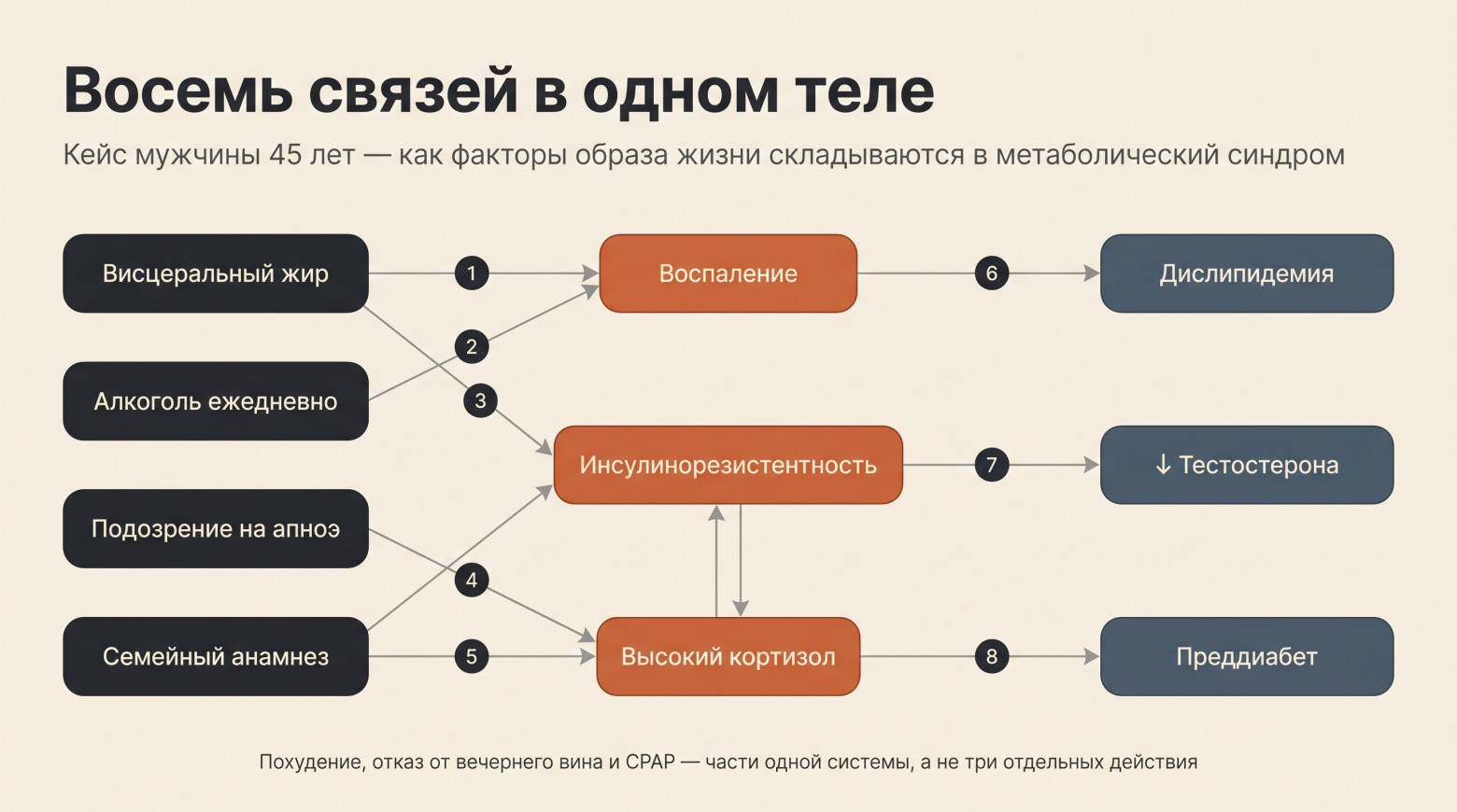 Восемь связей в одном теле. То, что врач держит в голове — а пациент обычно нет. Восемь связей в одном теле. То, что врач держит в голове — а пациент обычно нет.