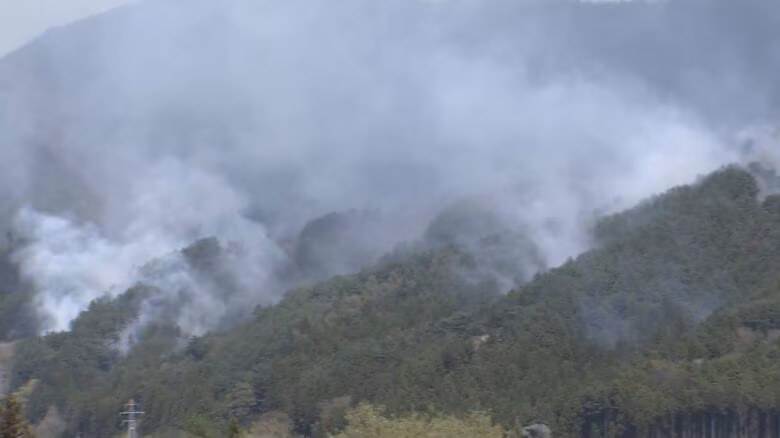 4日経つも火の勢い衰えず…岩手・大槌町の山林火災 730ha焼失、3000人超に避難指示|FNNプライムオンライン