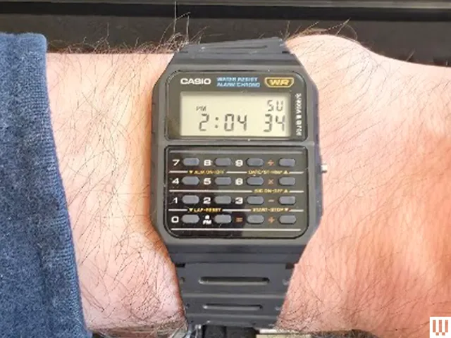 Image may contain Electronics Screen Computer Hardware Hardware Monitor Wristwatch Arm Body Part and Person