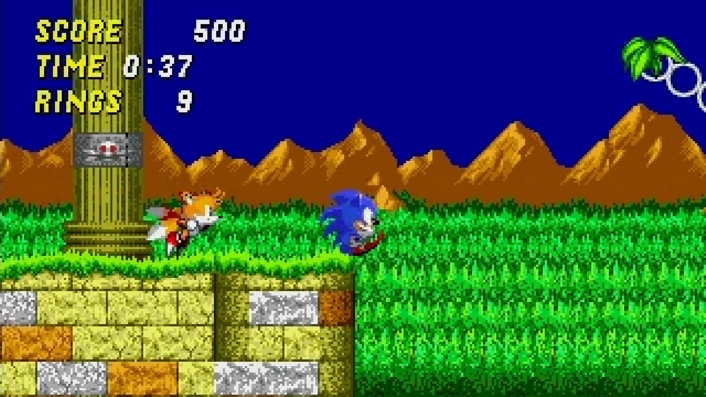 Screenshot of a Sonic the Hedgehog video game.