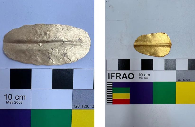 Gold and copper tongues discovered during archaeological excavations in the el-Bahnasa area in Egypt’s Minya Governorate, April 22, 2026.