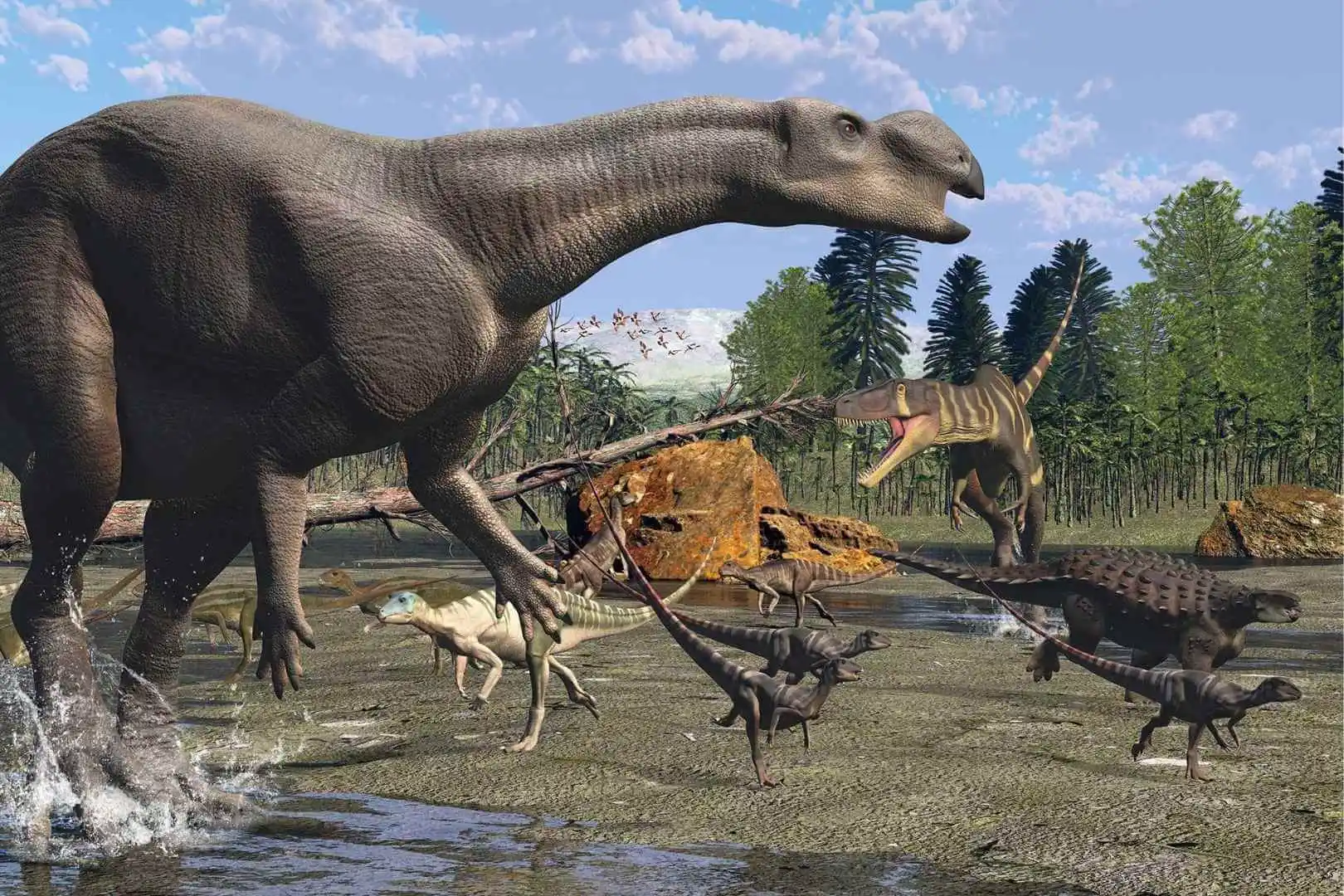 Muttaburrasaurus langdoni