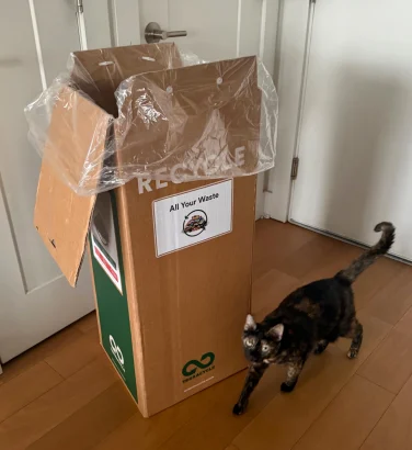 Cat beside TerraCycle recycling cardboard box