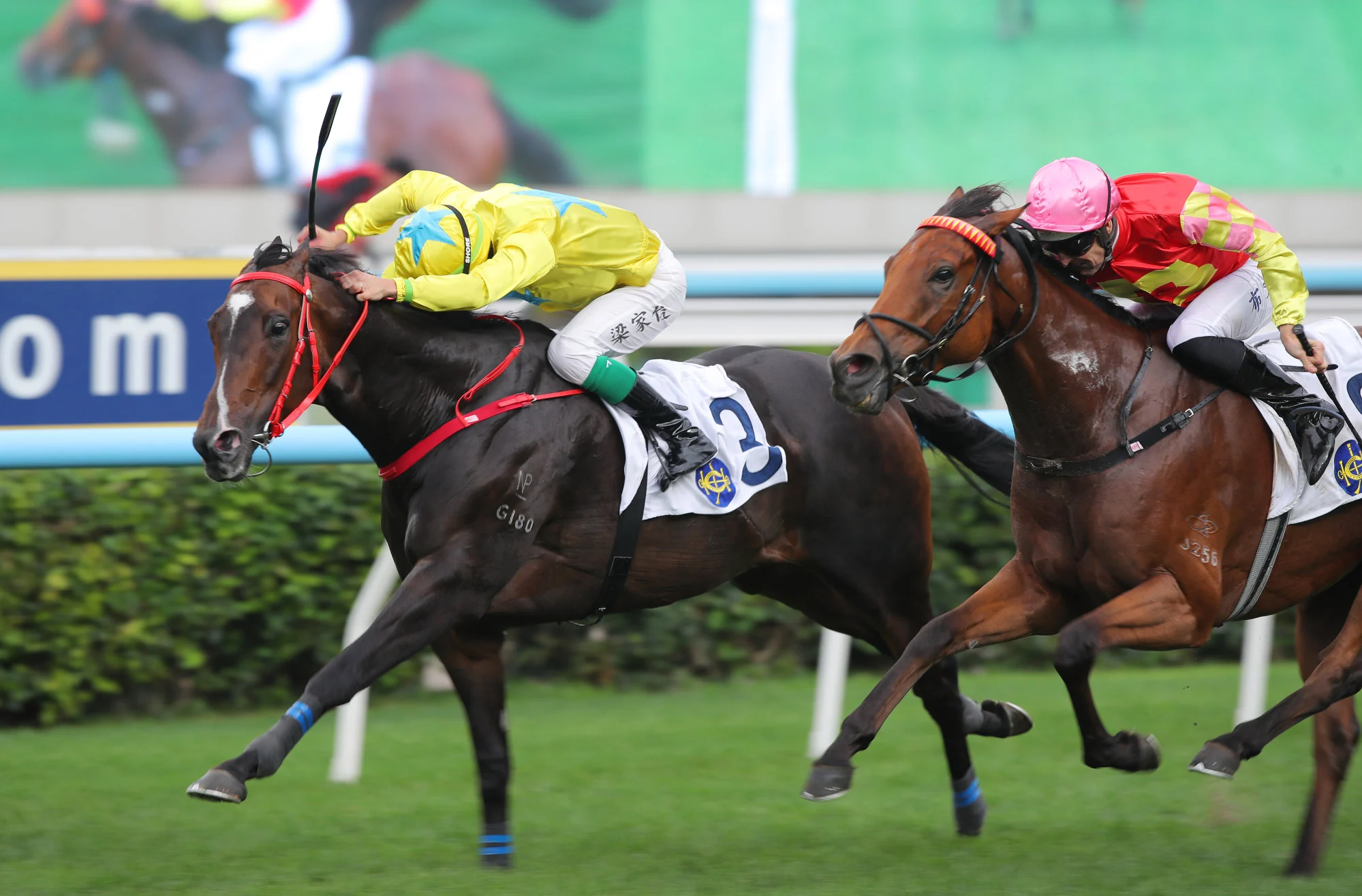 My Wish finishes second behind Lucky Sweynesse last start.