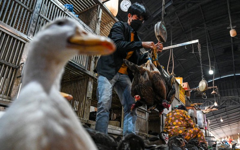 Animal welfare is the key to human health Animal welfare is the key to human health
