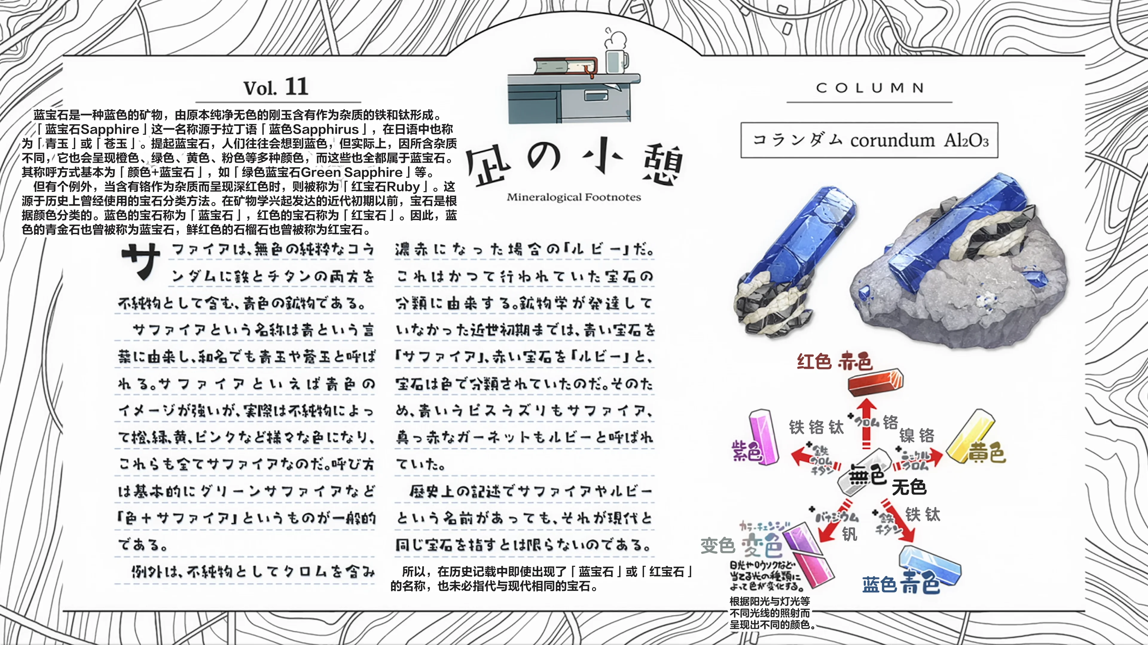 Vol.11