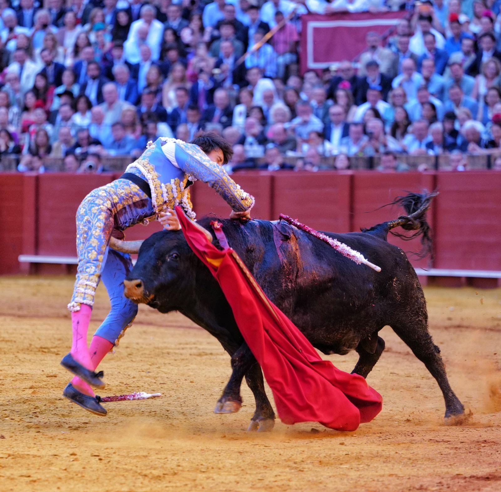Roca Rey, herido grave en Sevilla