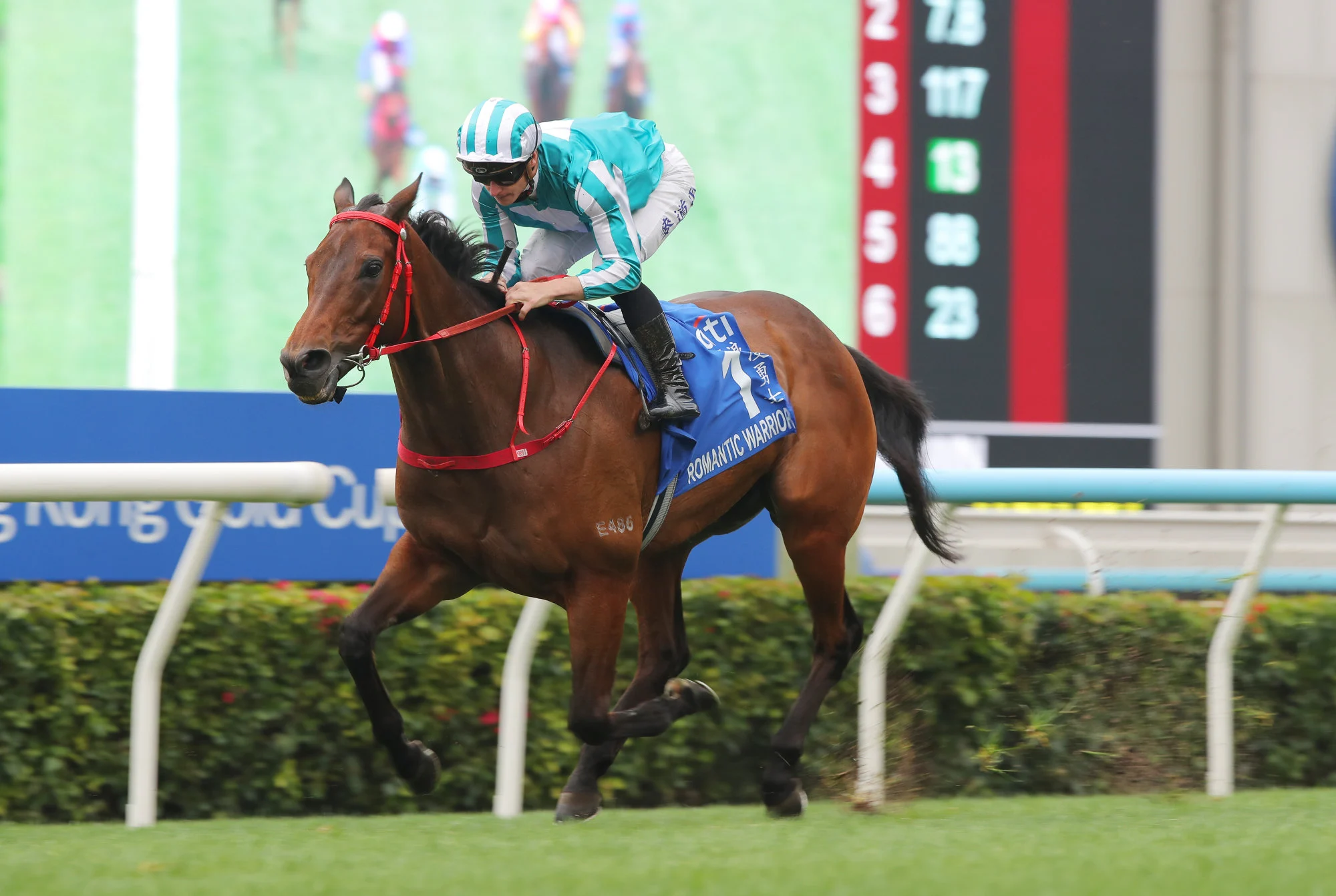 Romantic Warrior vies for a record-extending fourth QEII Cup. Romantic Warrior vies for a record-extending fourth QEII Cup.