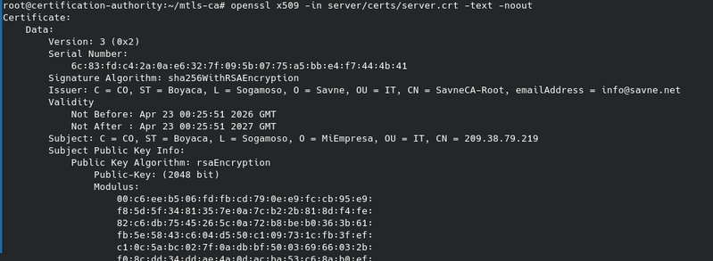 Verificación certificado server