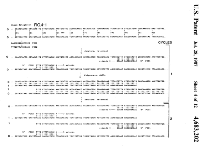 Схема из патента US4683202A Схема из патента US4683202A