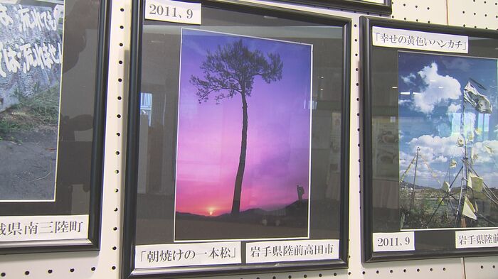 被災地を撮り続ける契機になった一本松