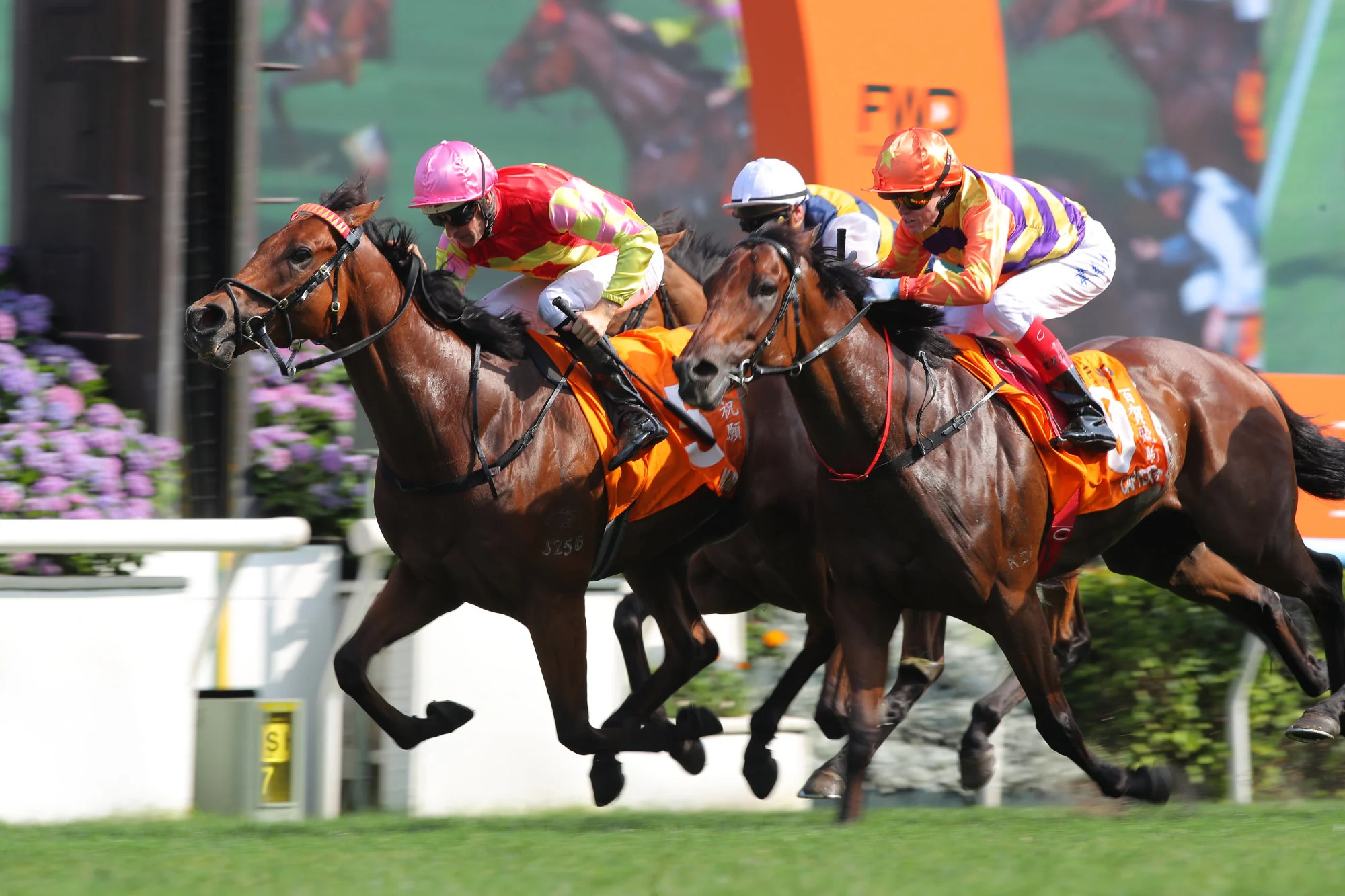 My Wish, ridden by Hugh Bowman, scores the Champions Mile at Sha Tin. Photos: Kenneth Chan My Wish, ridden by Hugh Bowman, scores the Champions Mile at Sha Tin. Photos: Kenneth Chan