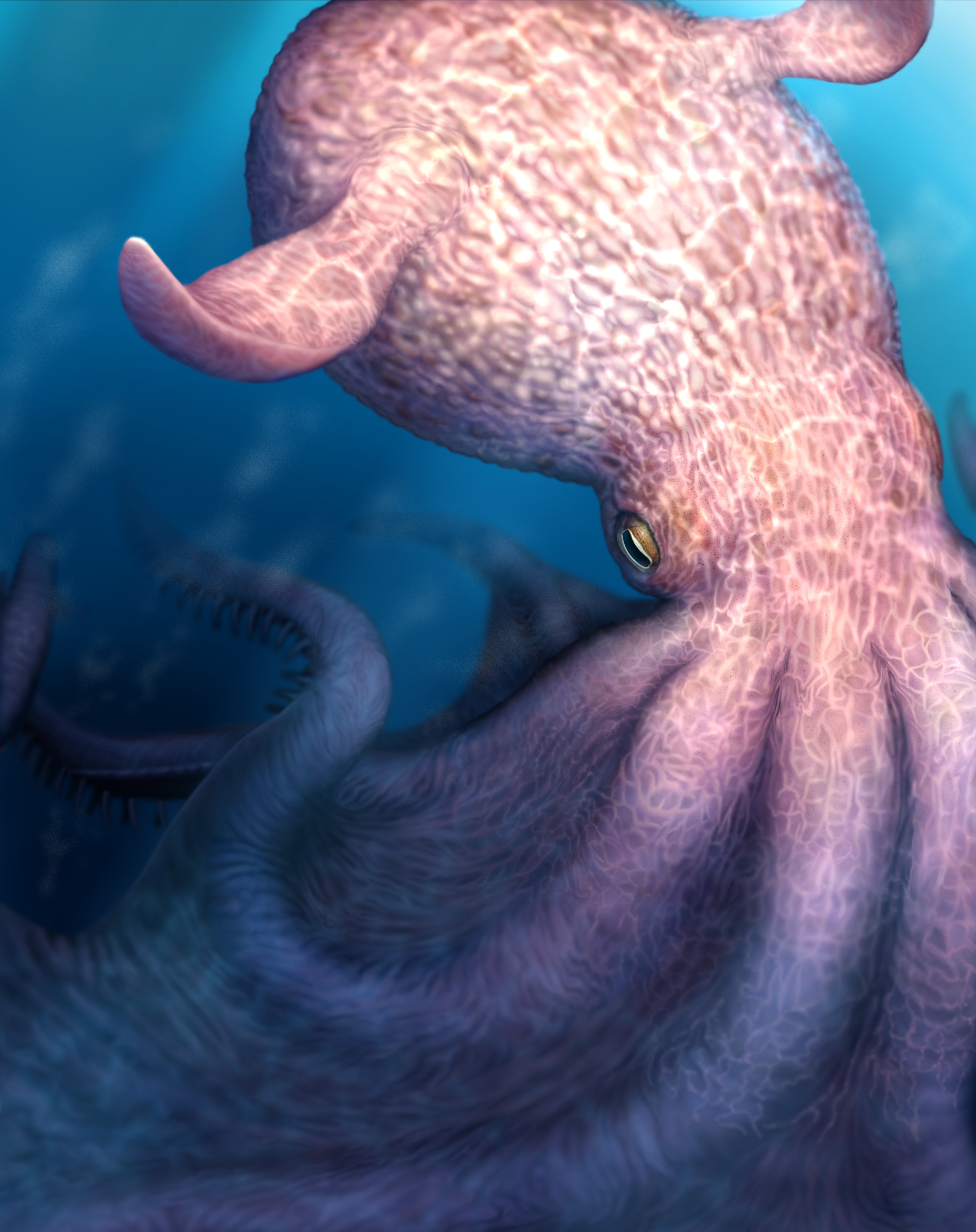 Sketch of a pink giant octopus in the ocean