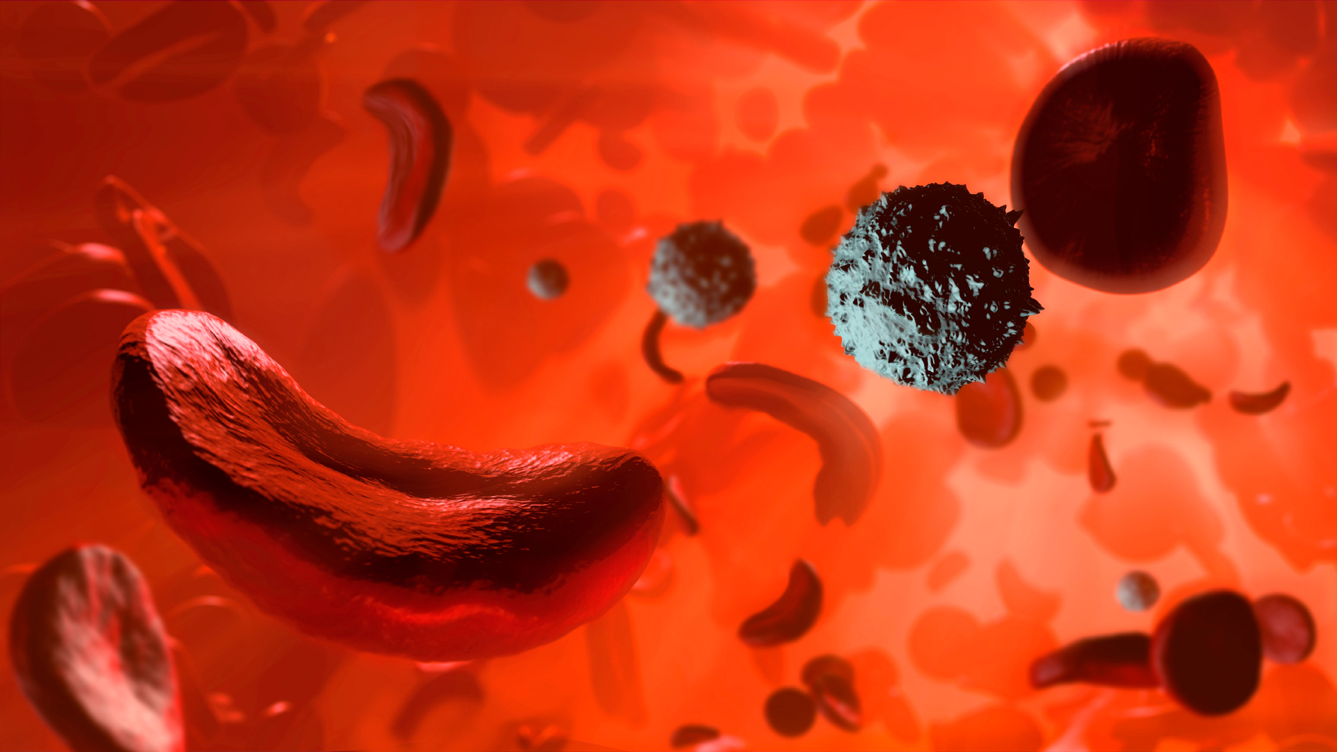 A close up of a blood vessel showing red sickle-shaped blood cells next to small gray spheres with spikes on them.