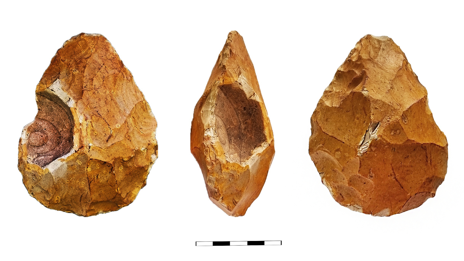 A series of brown pointed rocks seen from different angles against a white background