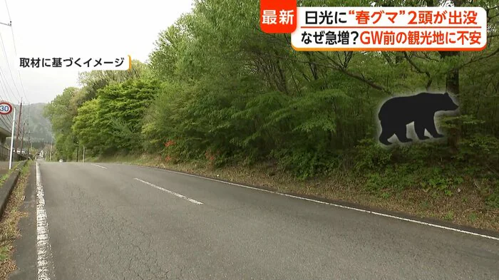 （イメージ）