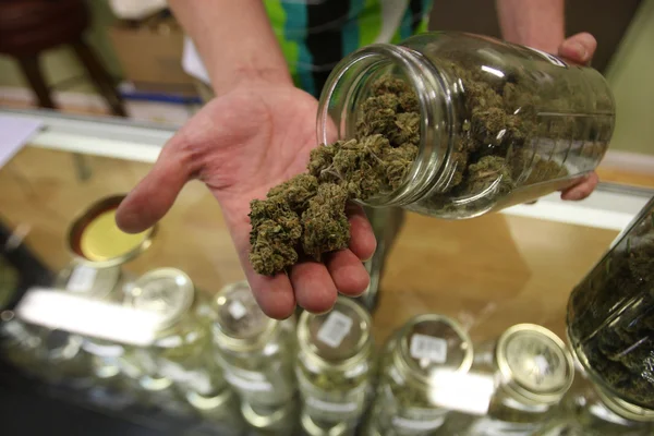 Close-up of cannabis buds in a jar