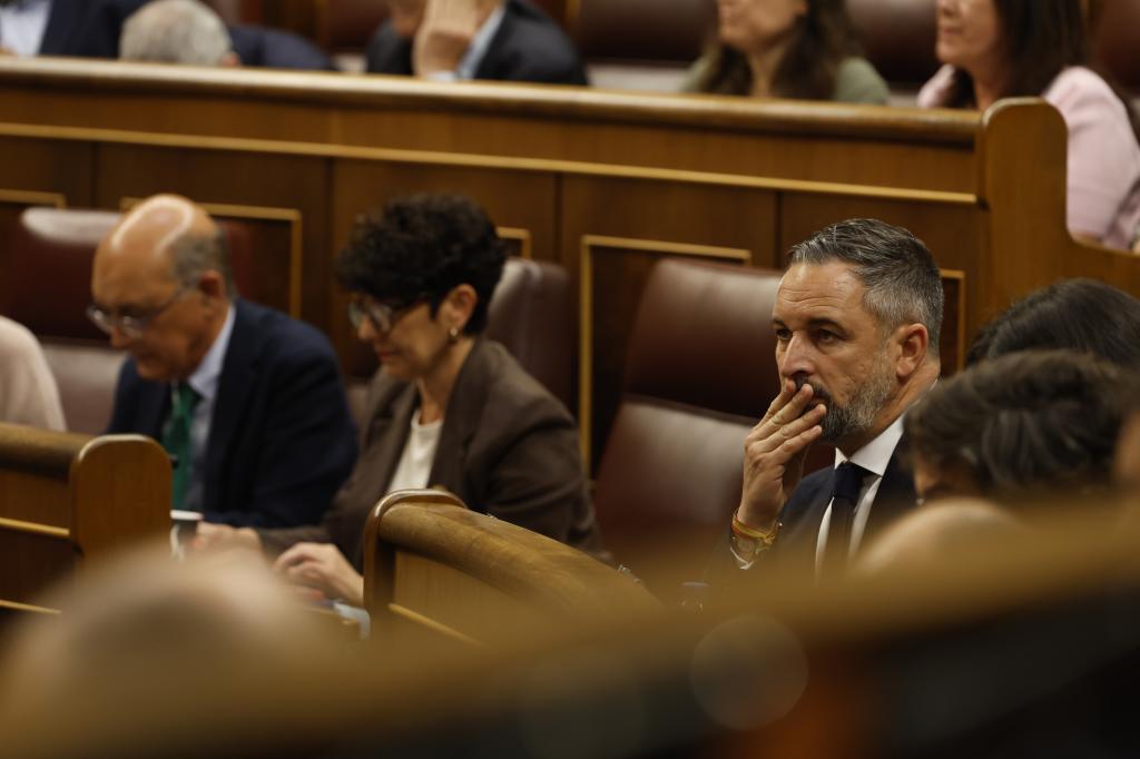El l�der de Vox, Santiago Abascal, el mi�rcoles, durante la sesi�n de control al Gobierno en el Congreso.