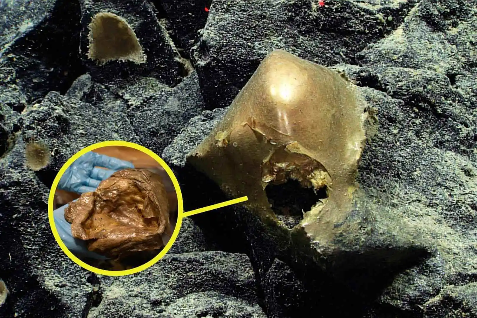 Esta enigmática esfera dorada fue localizada a unos 3.300 metros de profundidad en el golfo de Alaska