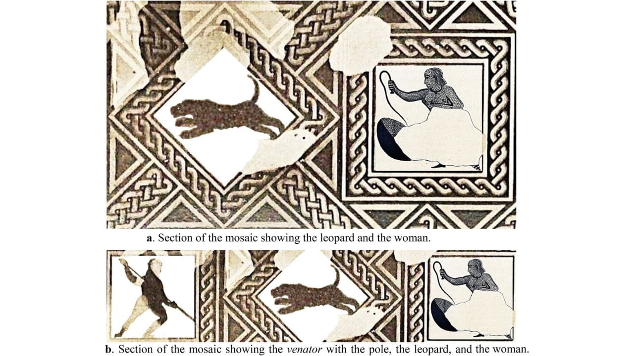 (a) Section of the mosaic showing the leopard and the woman. (b) Section of the mosaic showing the venator with the pole, the leopard, and the woman. (a) Section of the mosaic showing the leopard and the woman. (b) Section of the mosaic showing the venator with the pole, the leopard, and the woman.