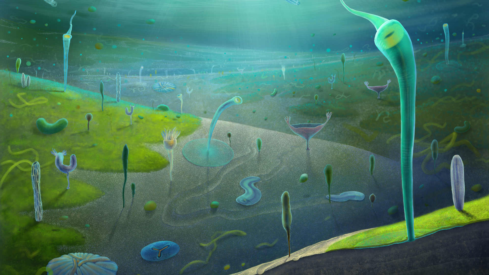 An illustration of a blue and green seabed floor with various paleolithic creatures standing up and swimming around