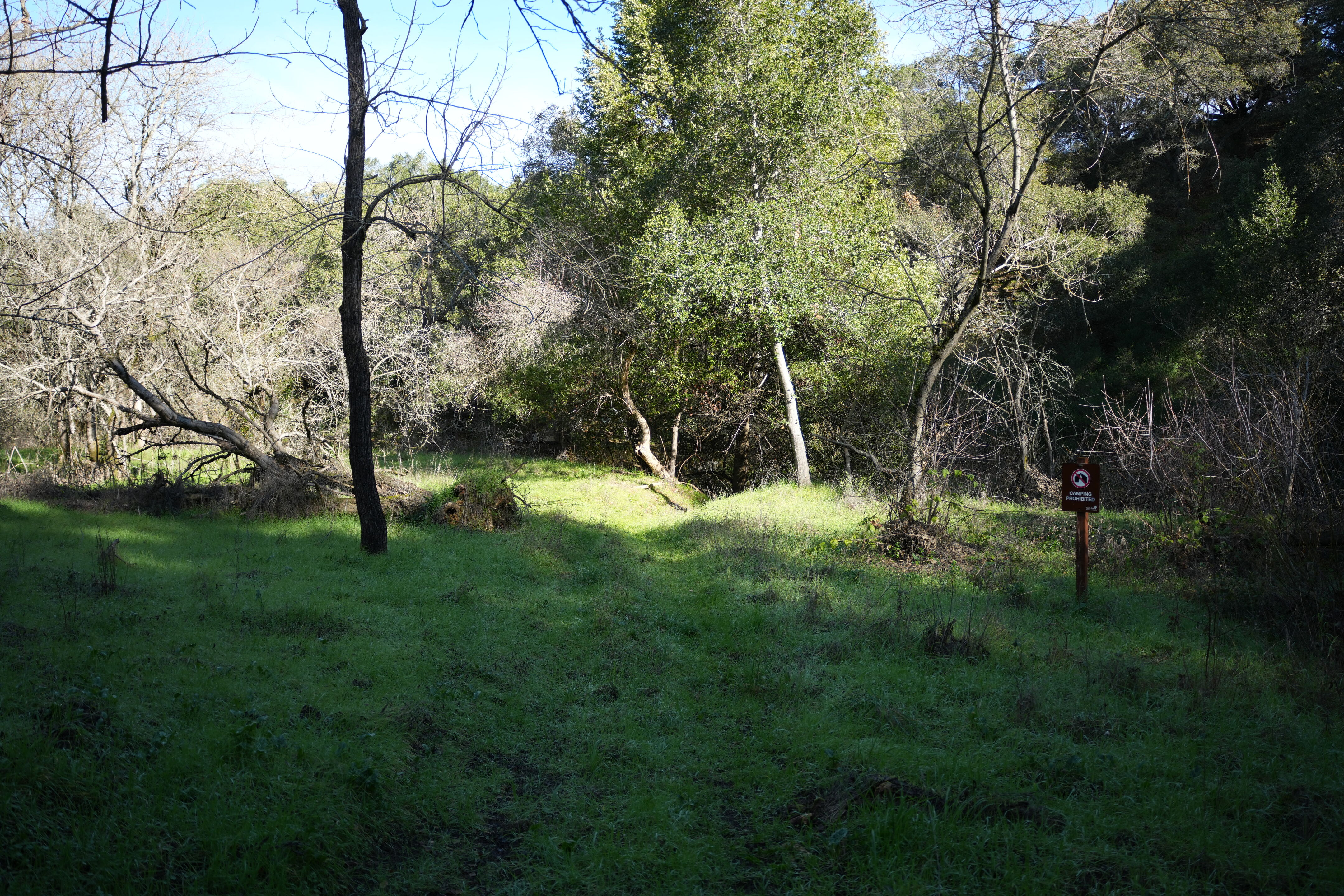 Don Castro Regional Recreation Area