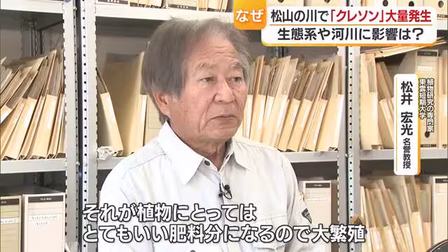 リンや窒素などが植物の栄養に