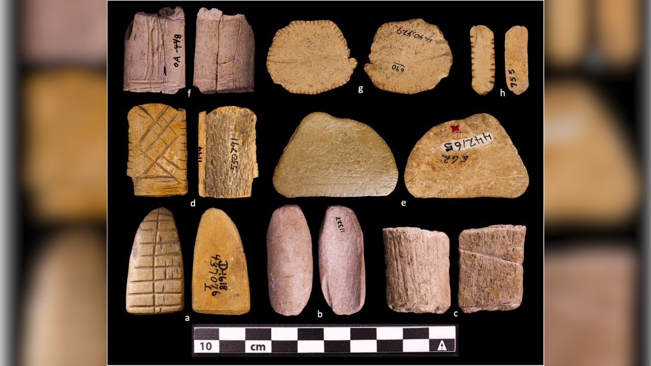 A series of Native American dice discovered at archaeological sites in the western US, April 9, 2026. A series of Native American dice discovered at archaeological sites in the western US, April 9, 2026.