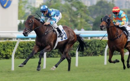 Gold Patch gives Zac Purton 100 wins for the season at Sha Tin. Photos: Kenneth Chan