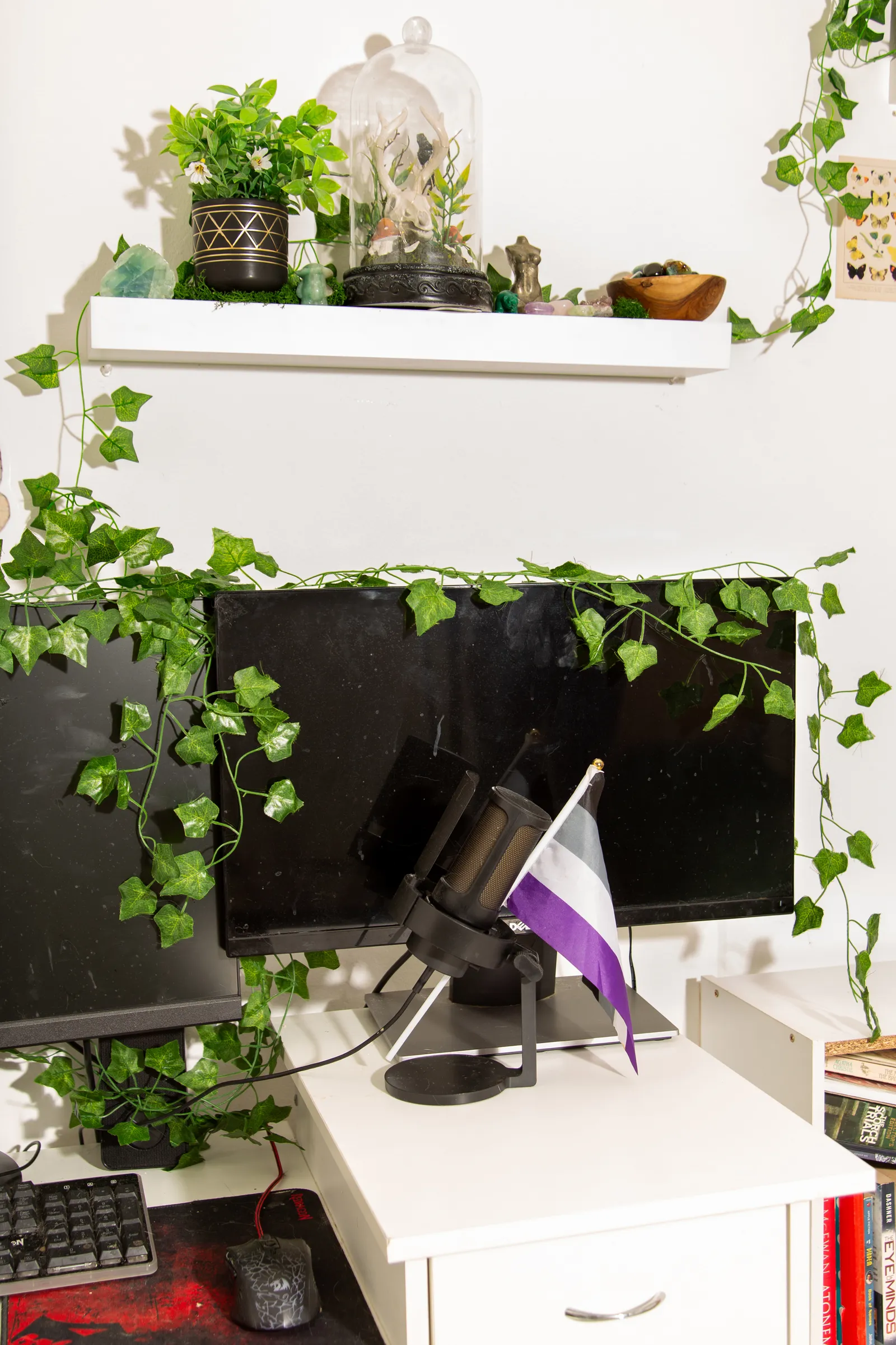Image may contain Plant