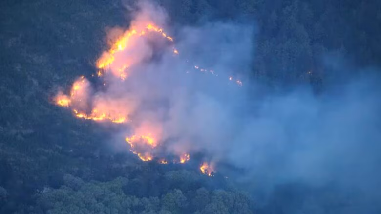 【速報】喜多方市の山林火災は28日午後3時に鎮火　発生から2日あまり｜FNNプライムオンライン
