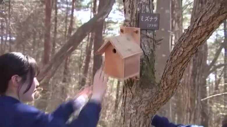 中学生が野鳥の巣箱かけ体験　自然環境守る活動　岩手県盛岡市｜FNNプライムオンライン
