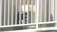 施設で当時4歳と3歳の姉妹死亡　長女殺害容疑で30歳母親を逮捕　次女の殺害もほのめかす…無理心中を装ったか　福岡・嘉麻市