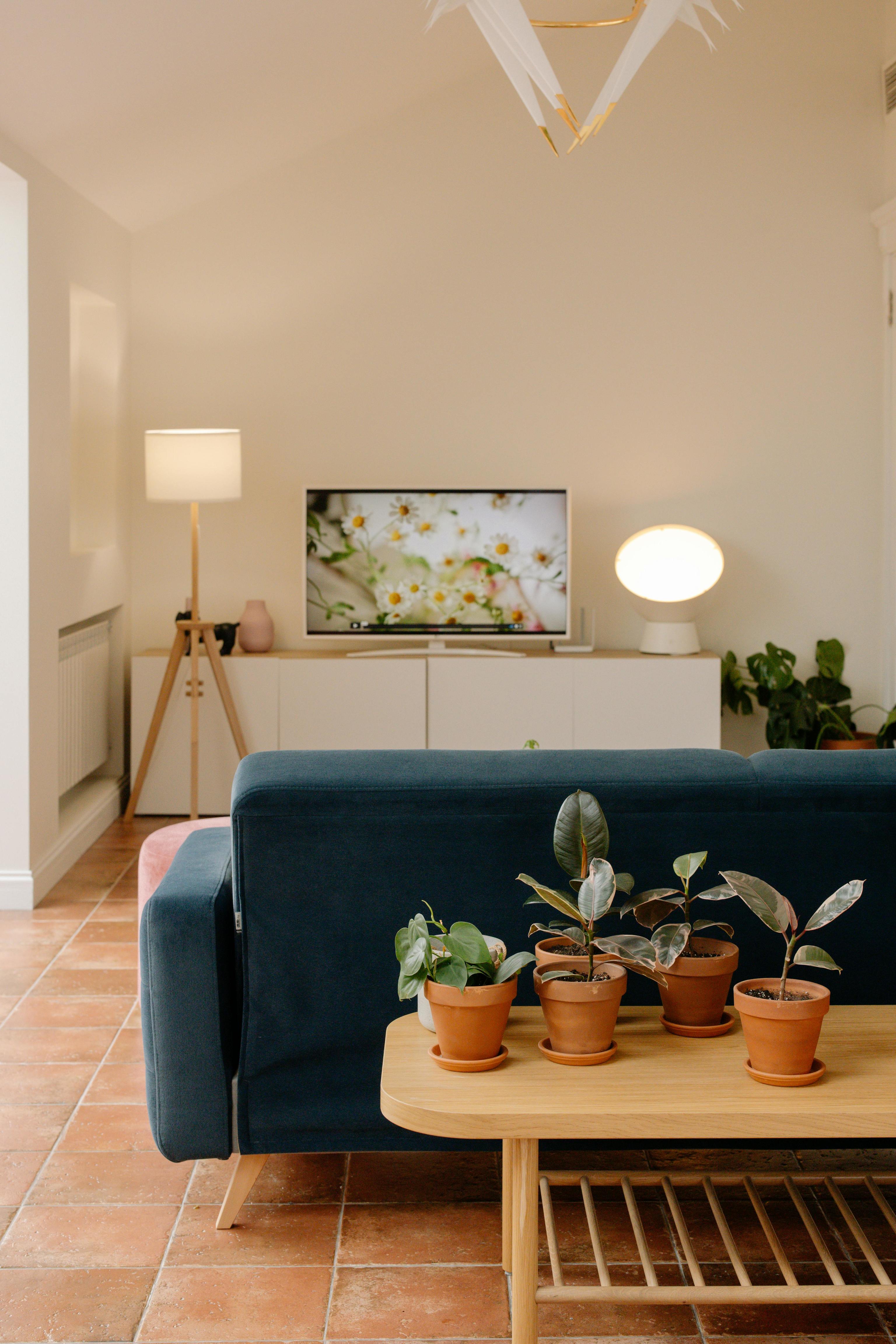 Decoraci�n para la primavera-verano 2026; las tendencias que vienen y deber�as conocer: la luz estrat�gica