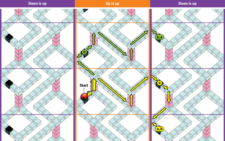 The previous tiled image now hosts a ladybug. Arrows show two path scenarios, as described in the text.