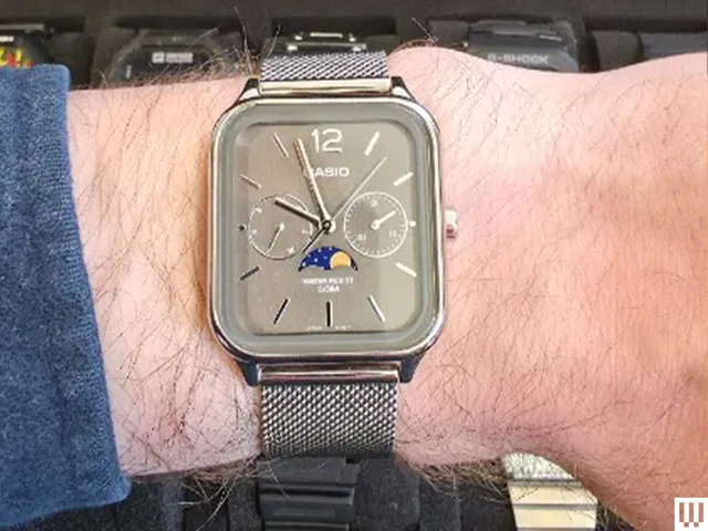 Image may contain Wristwatch Arm Body Part and Person