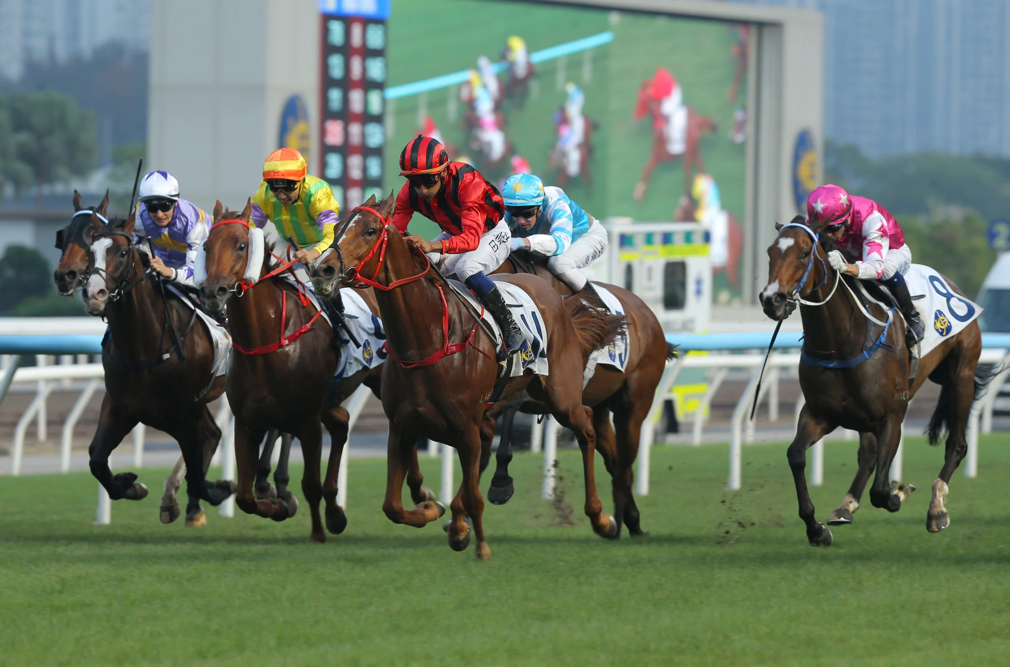 Nautical Force (black and red) runs riot at Sha Tin. Nautical Force (black and red) runs riot at Sha Tin.