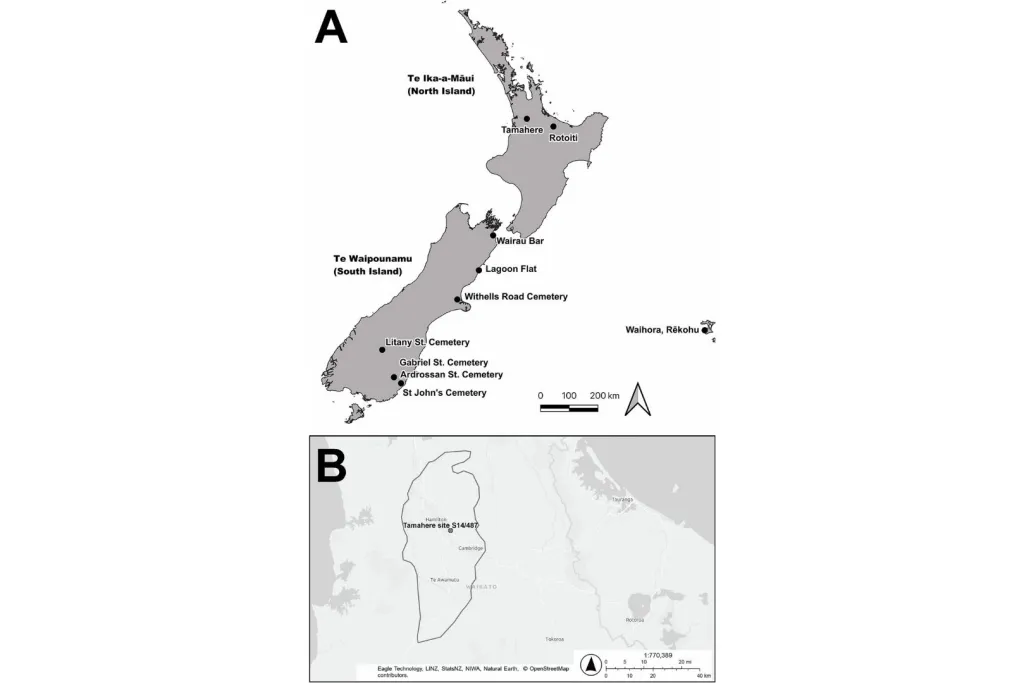 Ubicación del yacimiento de Tamahere S14/487 y de otros enclaves comparativos en Aotearoa (Nueva Zelanda)