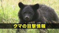 【クマ目撃】盛岡市浅岸、綱取スポーツセンター付近でクマ1頭の目撃　岩手県