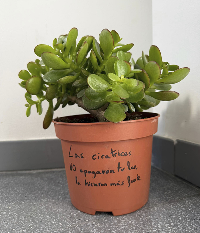 Maceta recibida como regalo por la doctora tras sobrevivir al accidente de trenes de Adamuz.