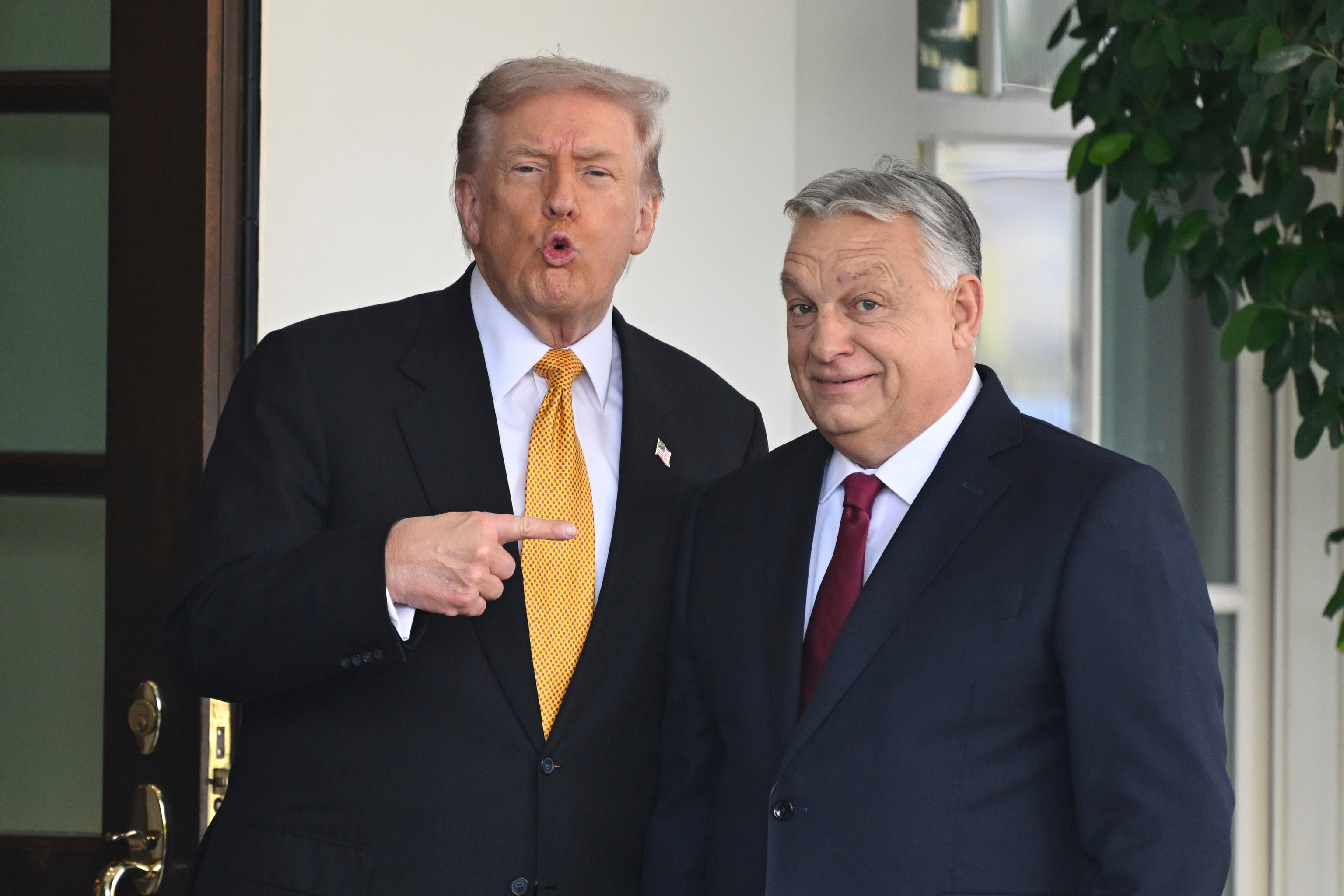 Donald Trump se�ala al primer ministro h�ngaro Viktor Orban.