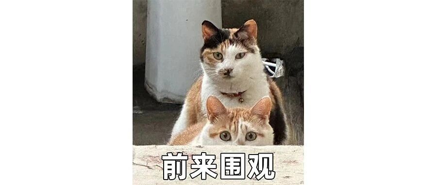 cover_image