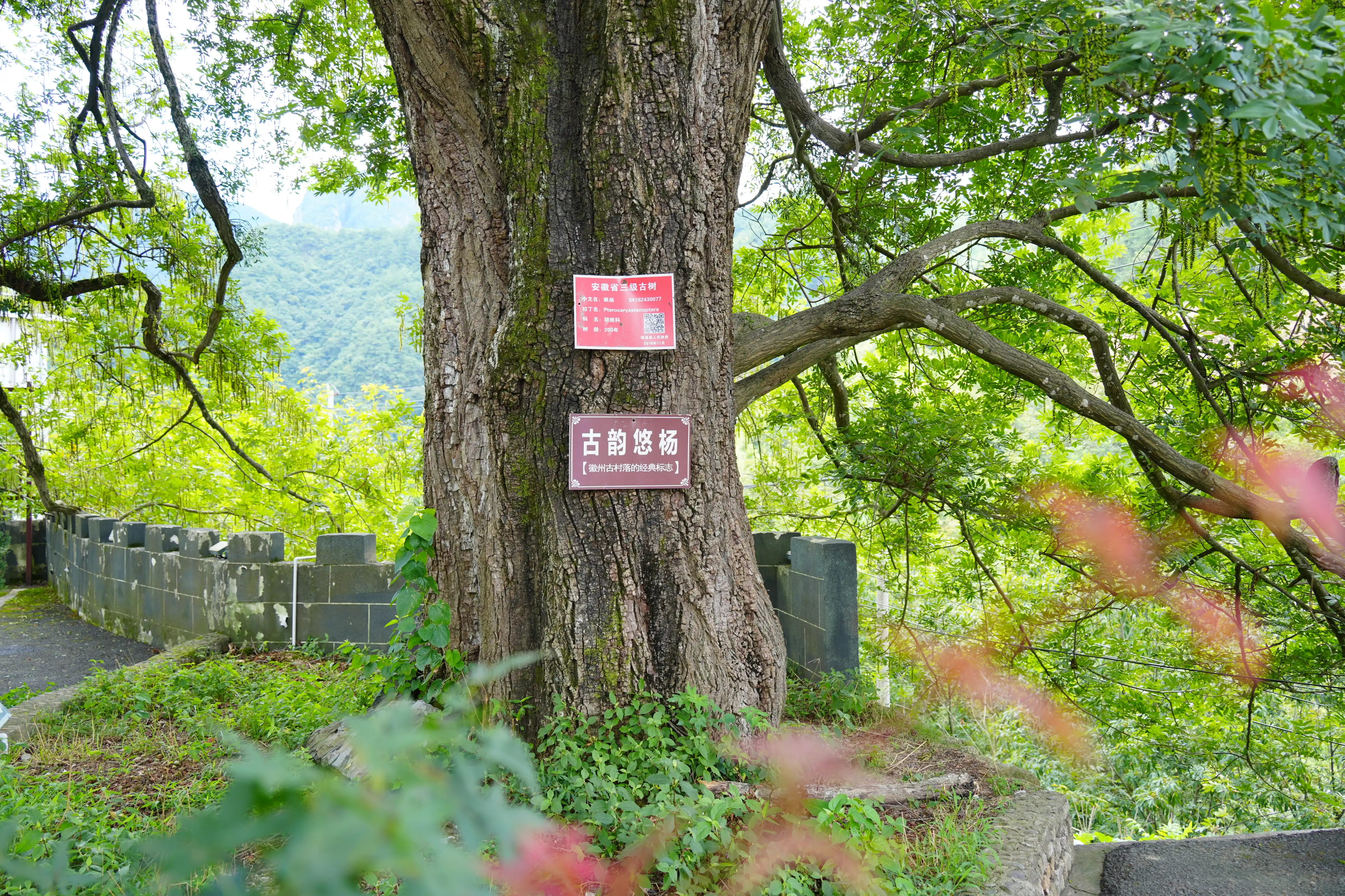 HDK07443-dk-compressed.webp