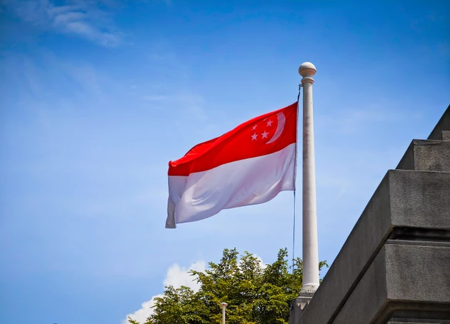 Flag of Singapore waving in the wind. Real flag on a huge flag pole