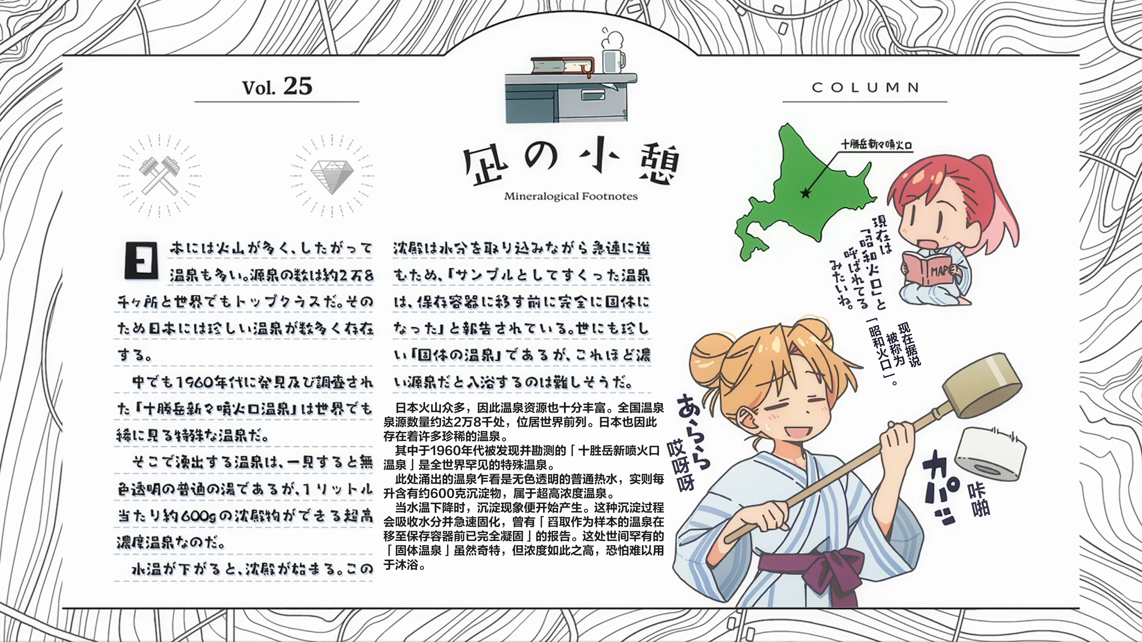 Vol.25