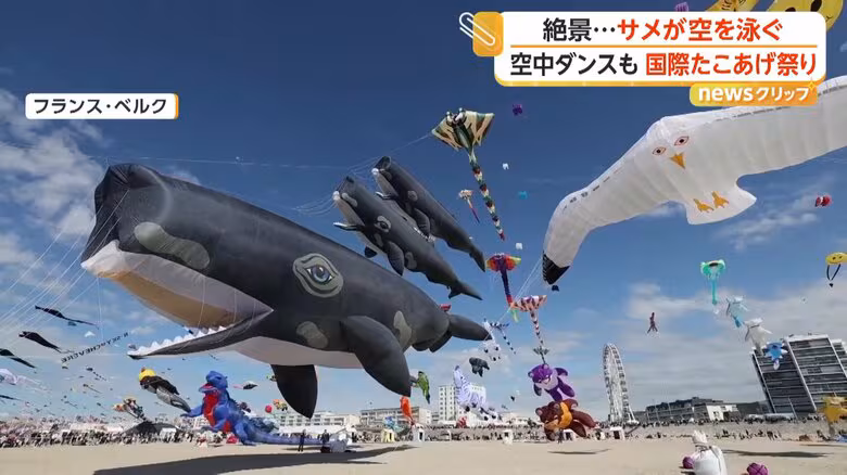 生き物や人気キャラが大空遊泳 「国際たこあげ祭り」に世界から愛好家集結 81人が“空中ダンス”競う大会も フランス|FNNプライムオンライン