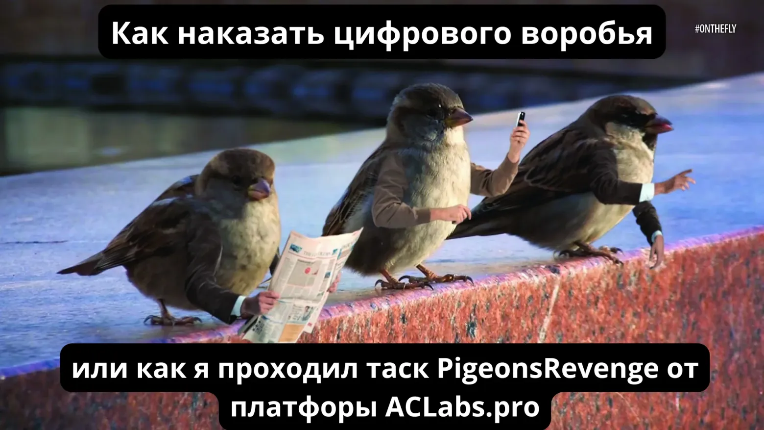 Как наказать цифрового воробья или как я проходил таск PigeonsRevenge от платформы ACLabs.pro